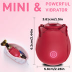 Rose Sucker Meeting Happy Jumping Egg Female Vibration Masturbator Private Nipple Teasing